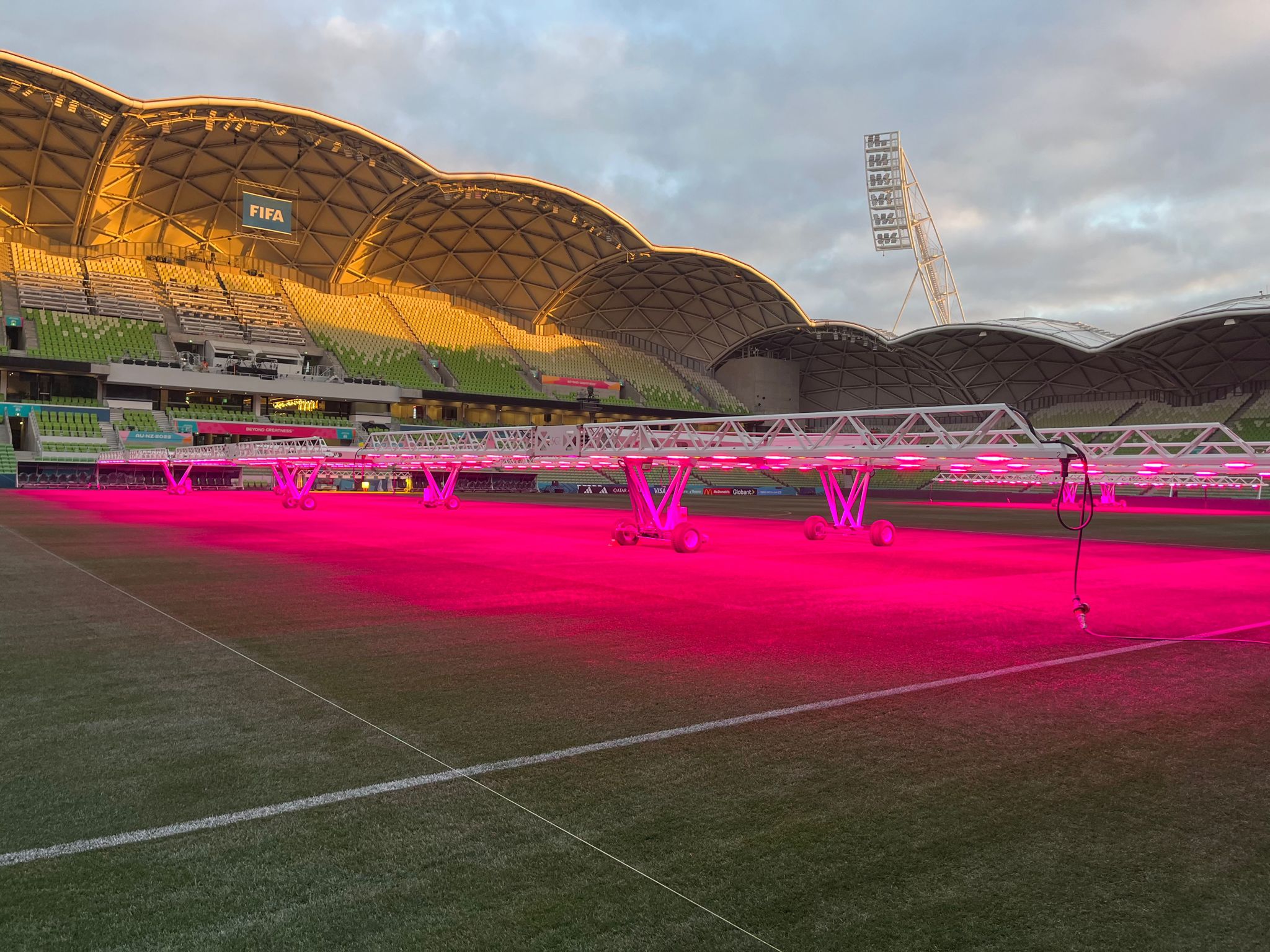 LED grow lights from SGL at AAMI Park
